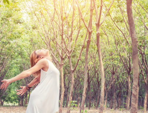 A Transformational Movement Retreat in Oregon: Discover “Moving to the Rhythm of Now” at Camp Cedar Ridge